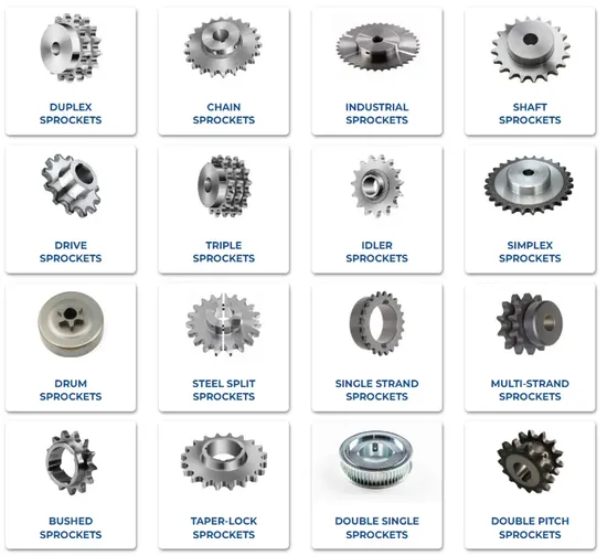 Conveyor Drive Roller Chain Sprocket Industrial Transmission Metric Stainless Steel Taper Lock Idler Gear Wheel (DIN/ANSI/JIS Standard or Made to Drawing)